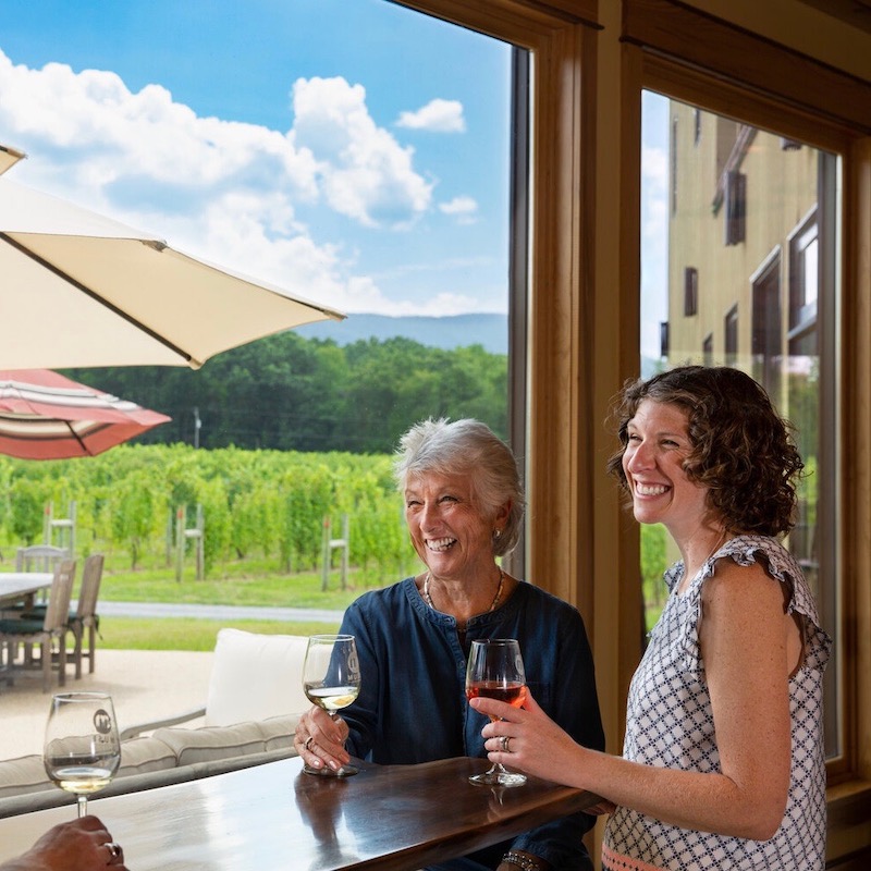 Two ladies laughing and holding wine at an outdoor bar with a vineyard behind them.